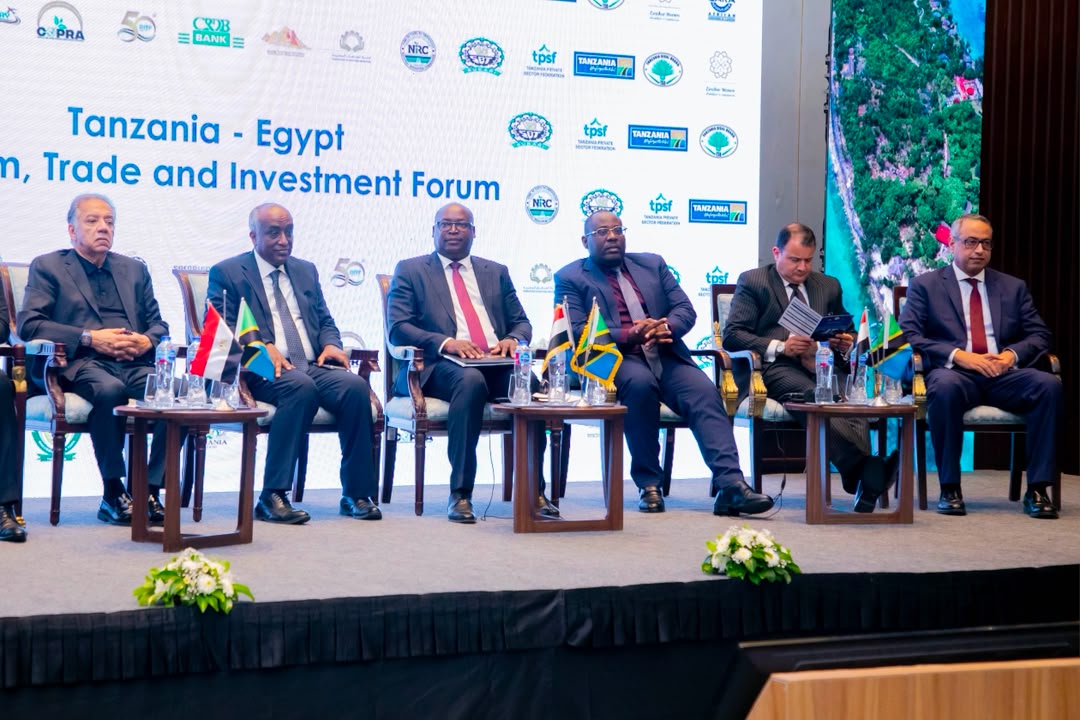 Tanzania-Egypt Investment Forum moves to bolster i