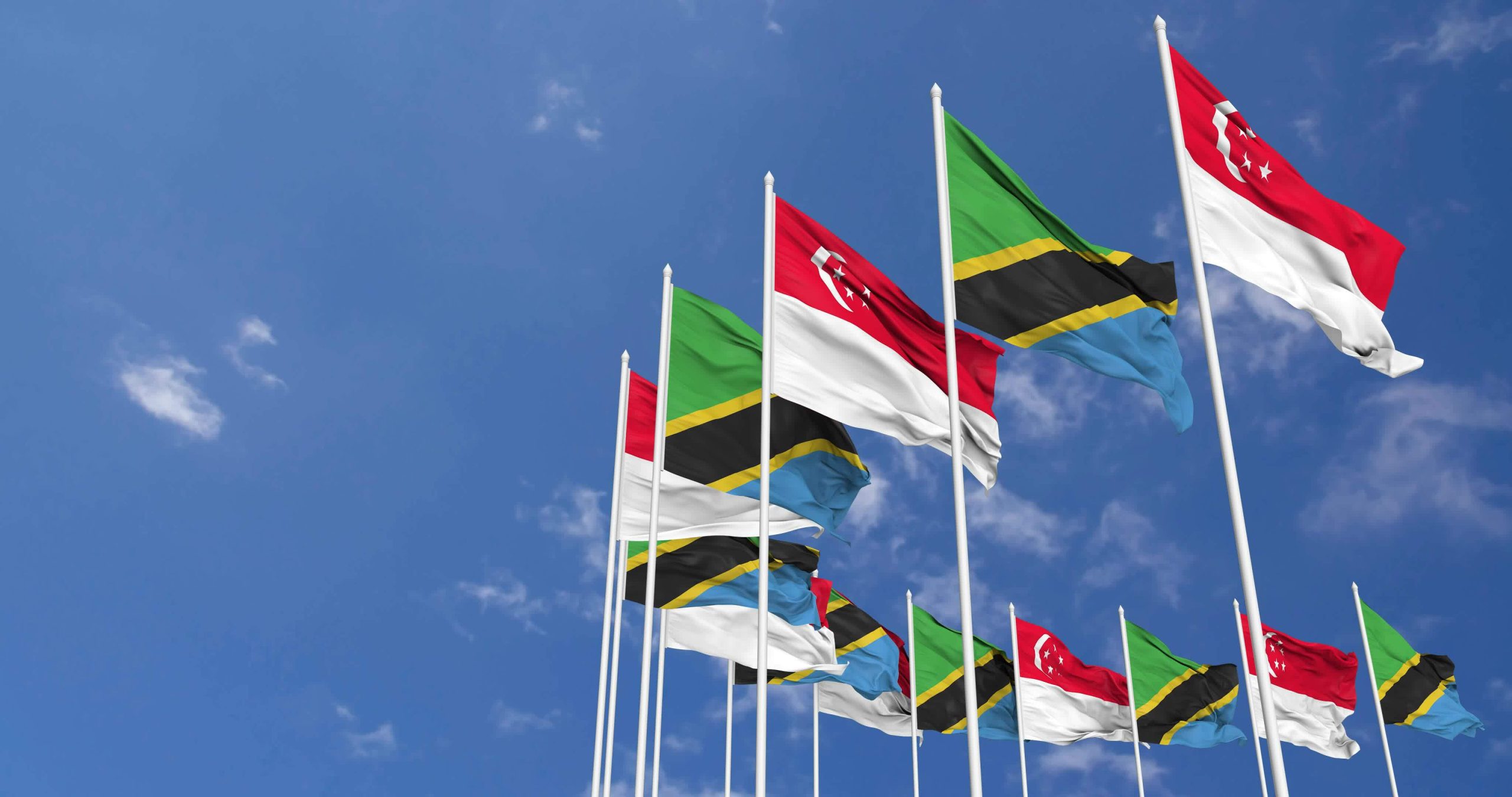 Tanzania, Singapore set for high level trade, digi