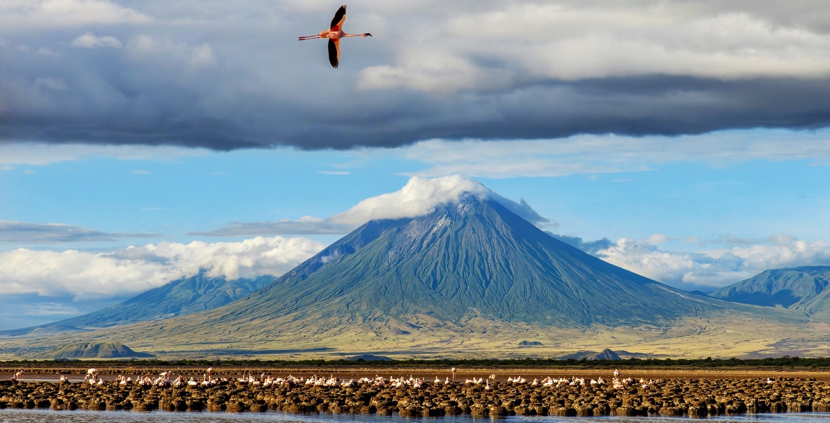 Tanzania and Kenya  call for protection of flamingoes  at Lake Natron