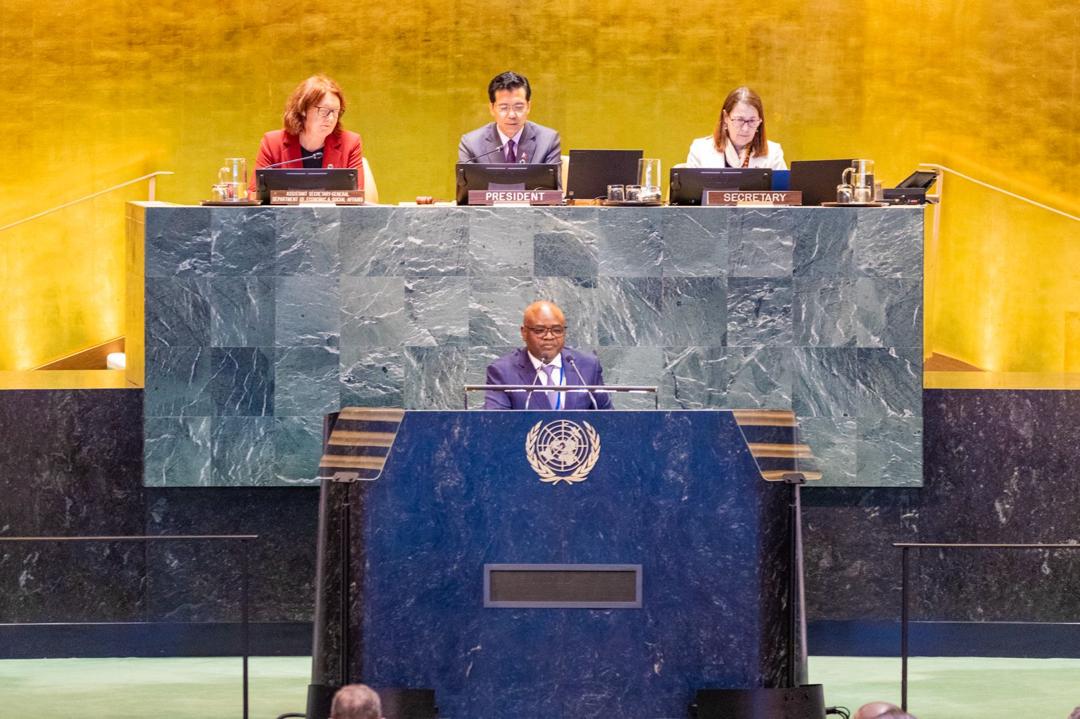 Dira 2050: Tanzania’s two-pronged push for global targets