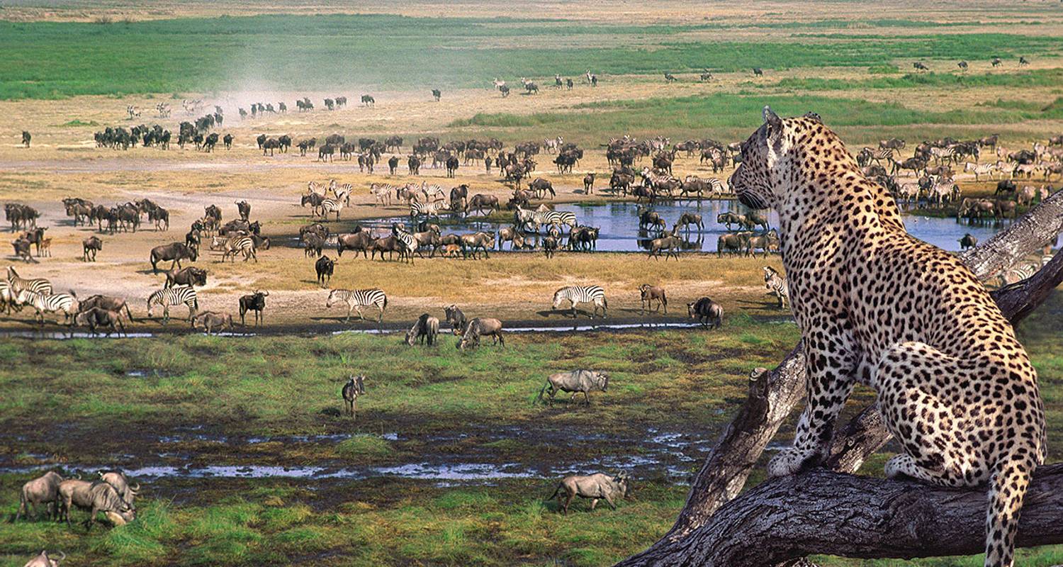 Tanzania Outpaces Kenya in Tourism Revenue Yield Despite Lower Volume