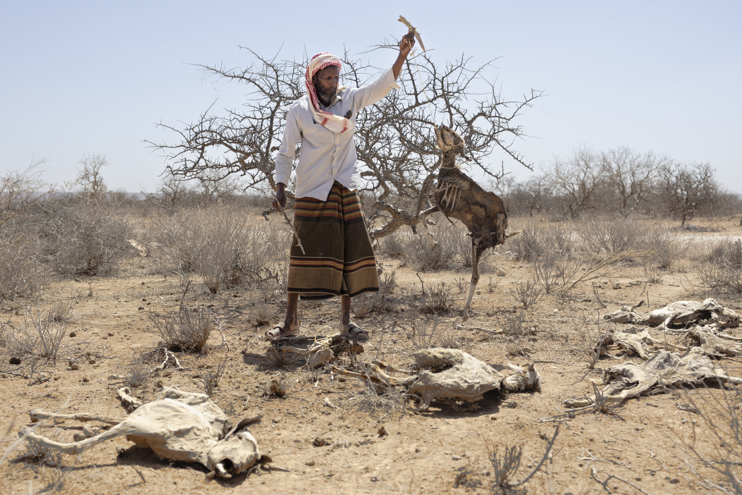 Australian researchers predict strongest El Niño since 1950