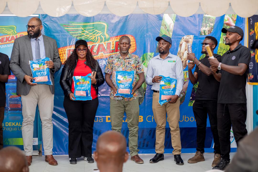 Government, seed industry urge maize farmers to verify seeds before planting