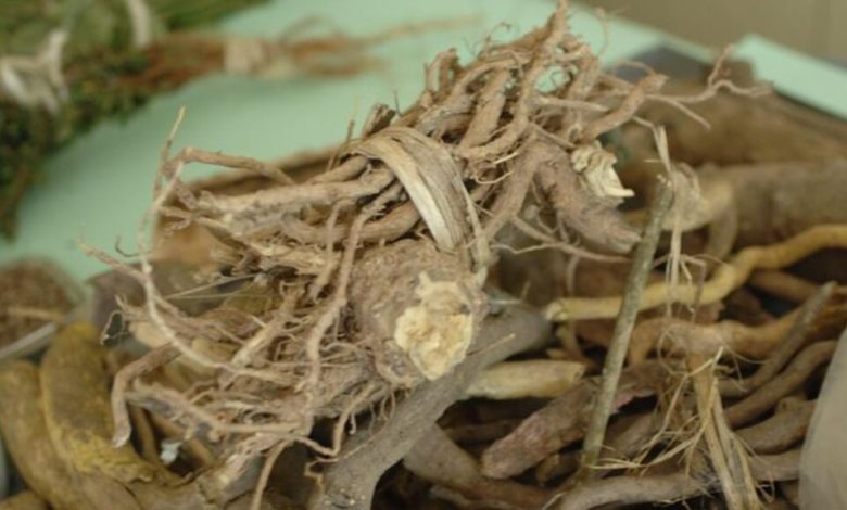 NIMR supports traditional medicine’s role in improving community health, economic growth