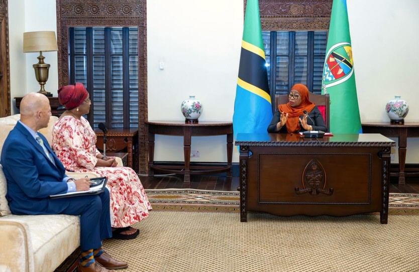 Tanzania, ADDI explore strategies to enable African diaspora to support development initiatives