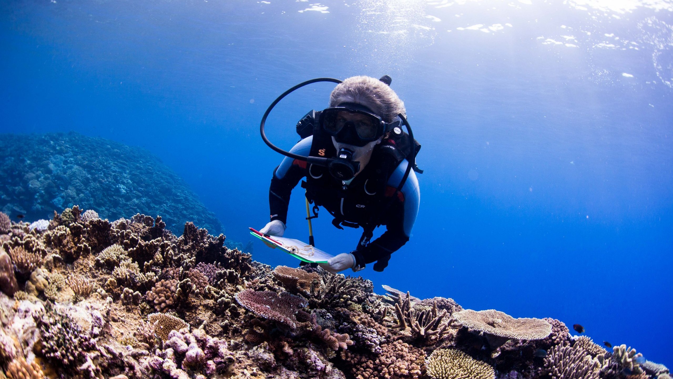 Call for stronger marine research