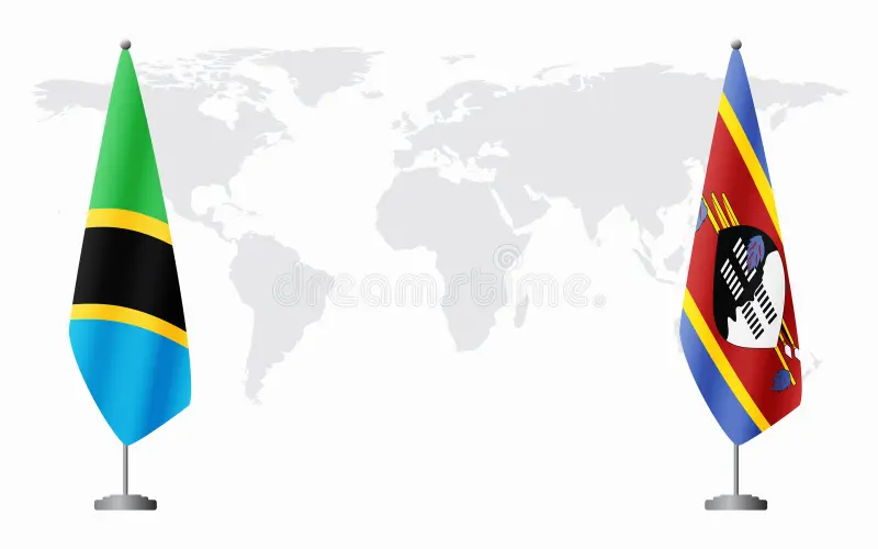 Tanzania, Eswatini urged to turn political ties into economic gains
