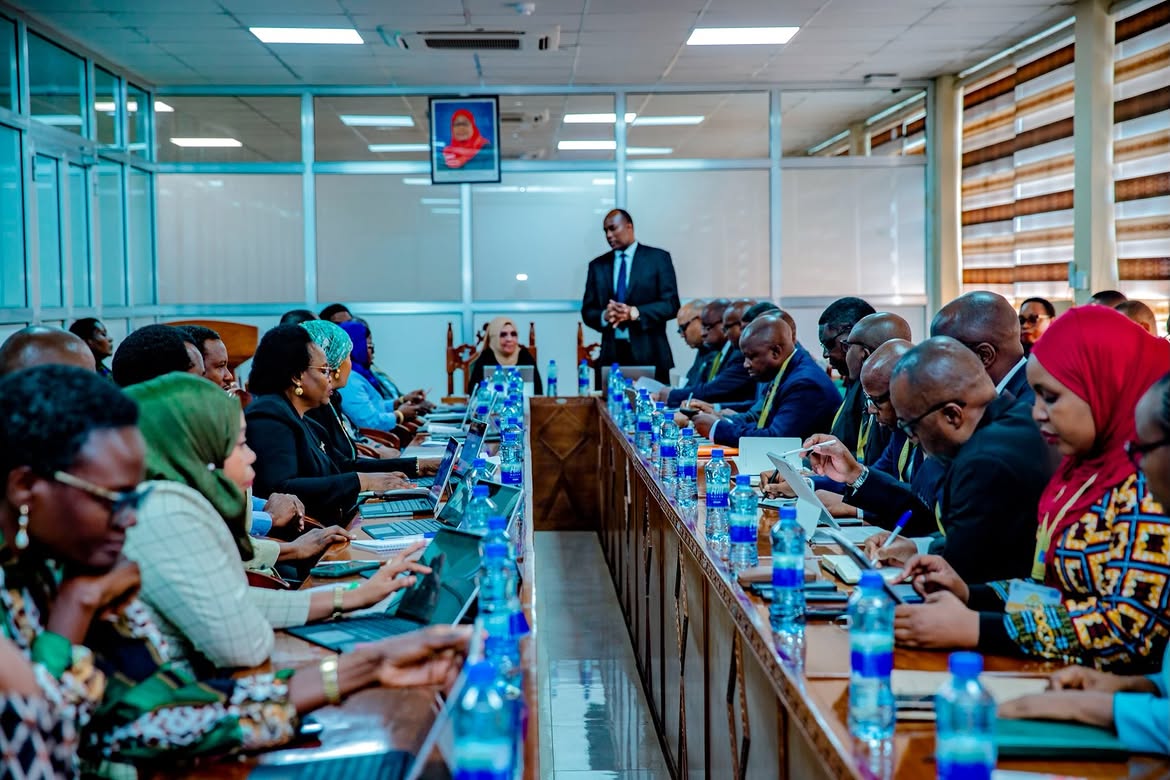 Tanzania’s diplomatic missions hailed for promoting their country‘s attractions globally