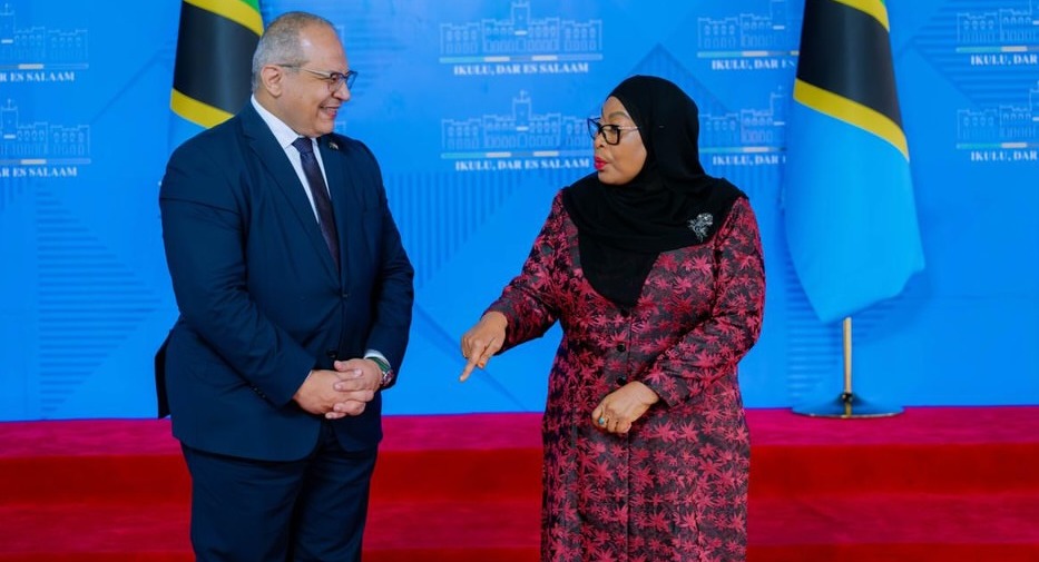 Dr Samia thanks the outgoing Egyptian envoy for cementing his country’s strong ties with Tanzania
