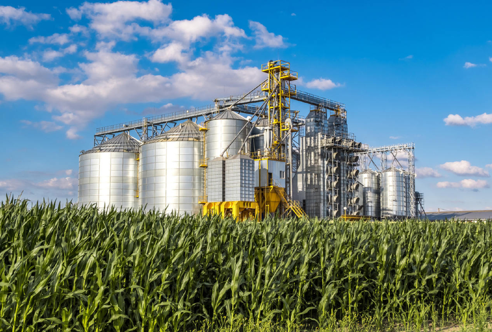 Vision 2050 drives agro-industrial push