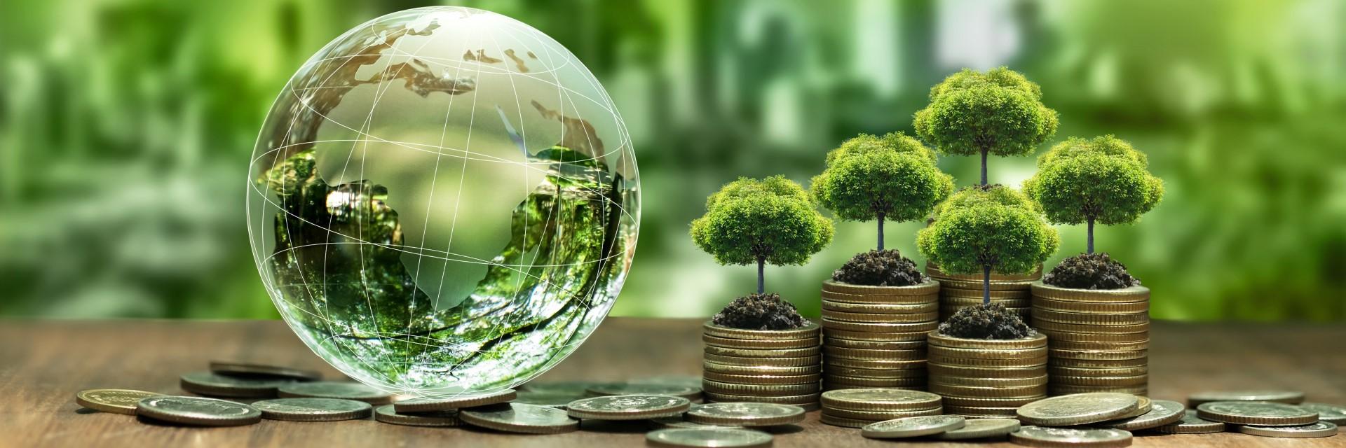 Green financing to boost Vision 2050 implementation