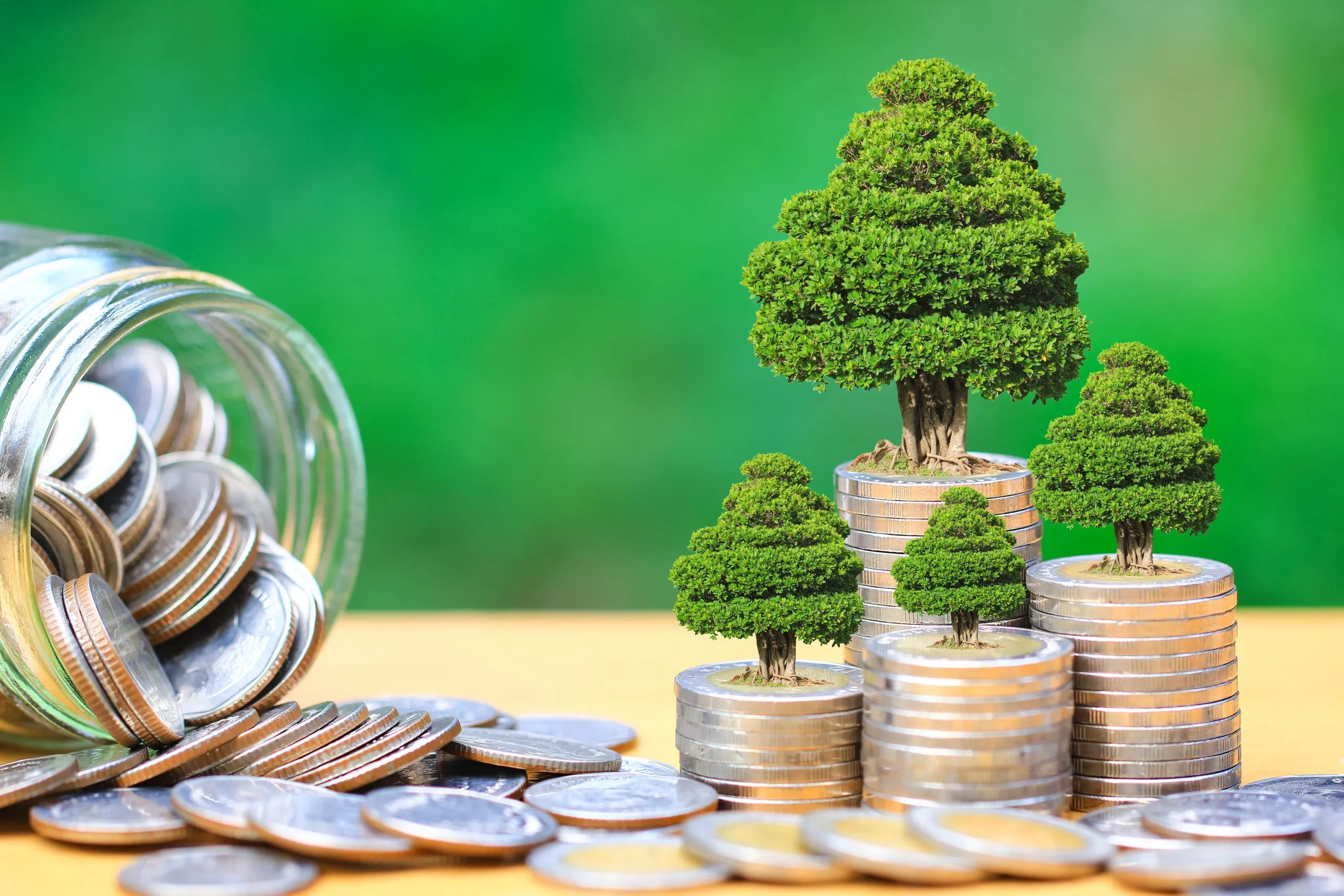 Paper Path Guide Agroforestry emerges as a green investment path for Tanzania’s youth ...