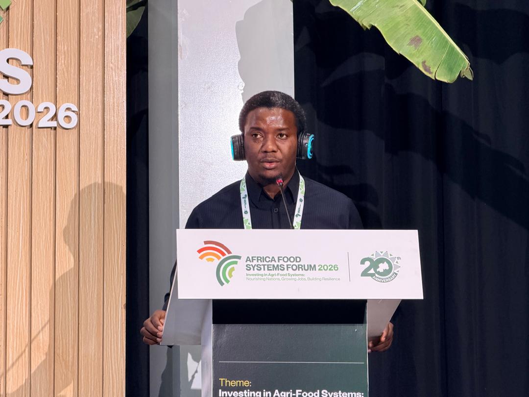 Tanzania unveils huge opportunities in maize, edible oils, avocado