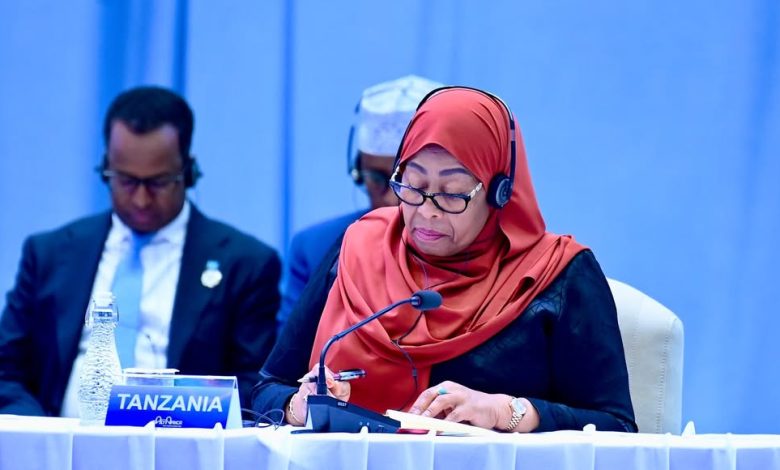 Dr Samia to meet African leaders in talks to bolster investment in reproductive, maternal, child healthcare