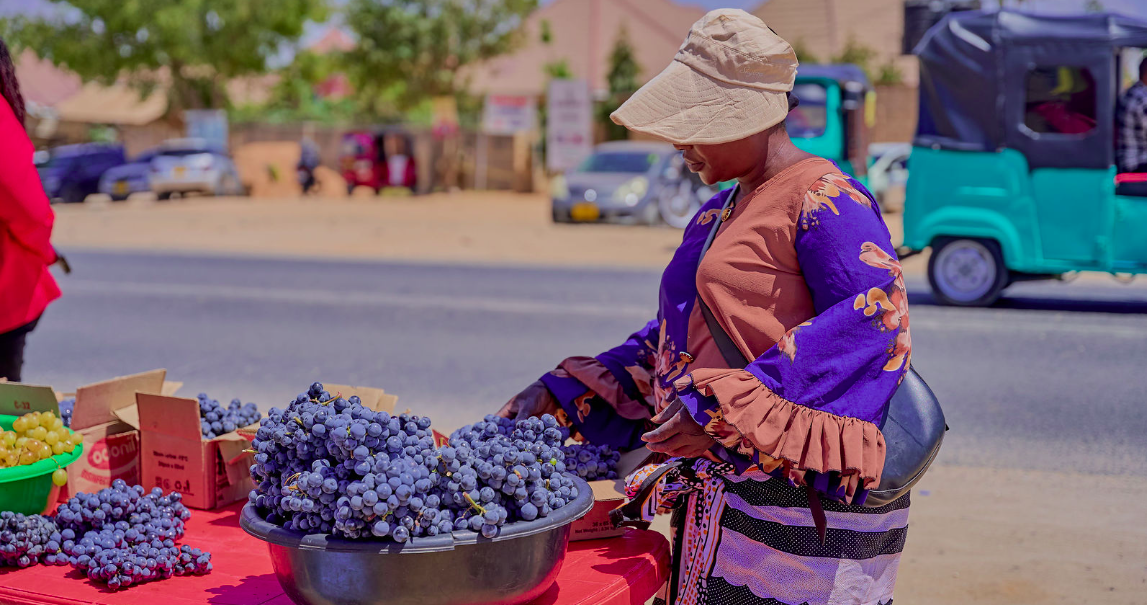Grape harvests surge in Dodoma
