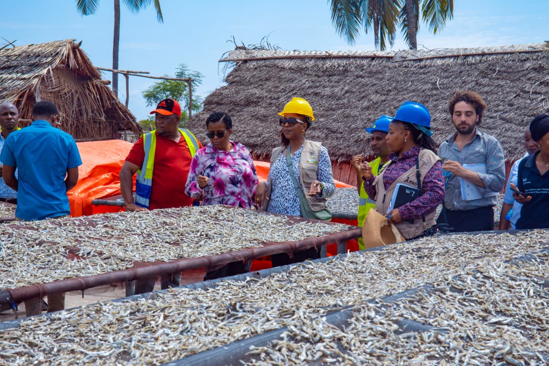 Kipumbwi Ward residents reap gains from AFDP's agriculture, fisheries projects - Daily News
