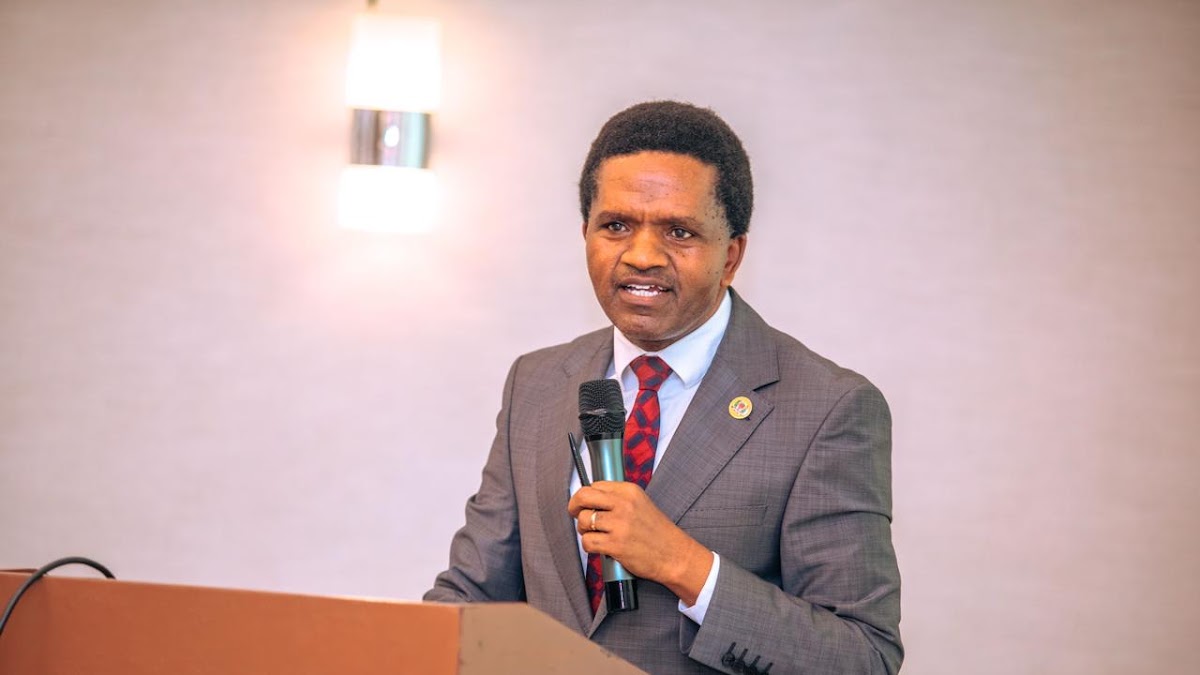 Tanzania: Business Barrier Reforms Dira 2050 Policy Launched