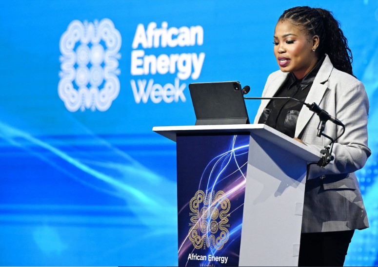Africa Energy Week calls on nations to deepen ties in energy trade and infrastructure for sustainable energy security