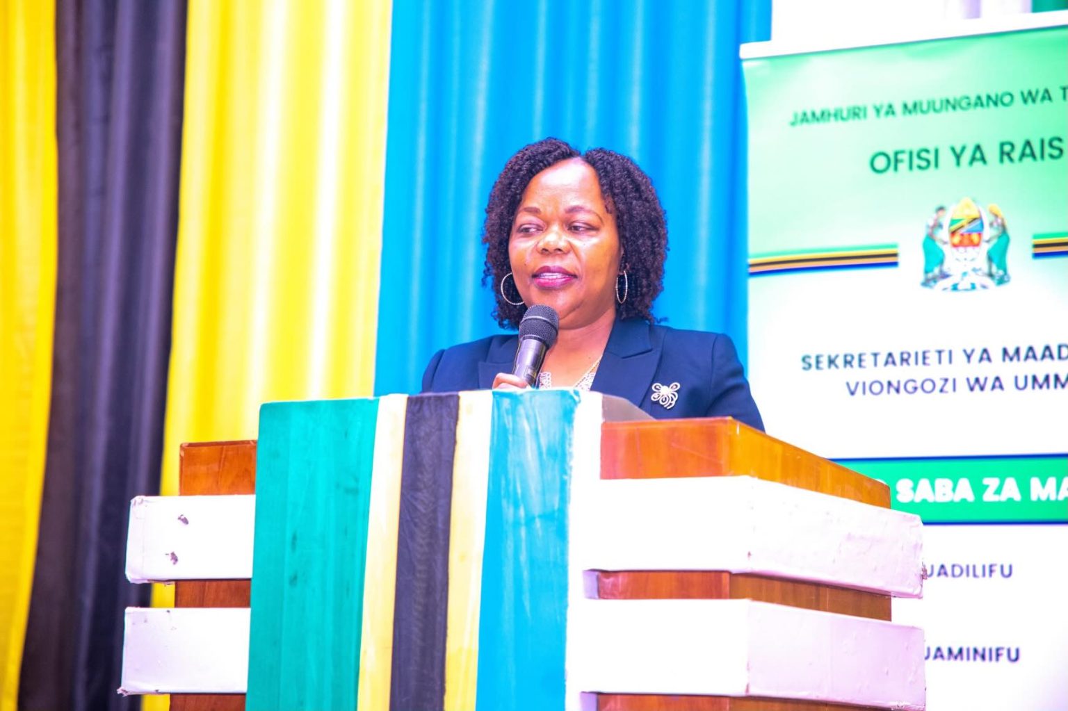 Tanzania enlists 2,682 institutions using clean energy as it targets ...