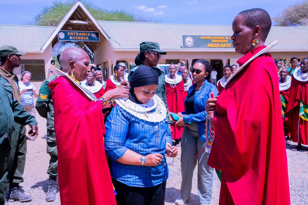 Tarangire Park tasked to improve its marketing strategies in attracting more tourists