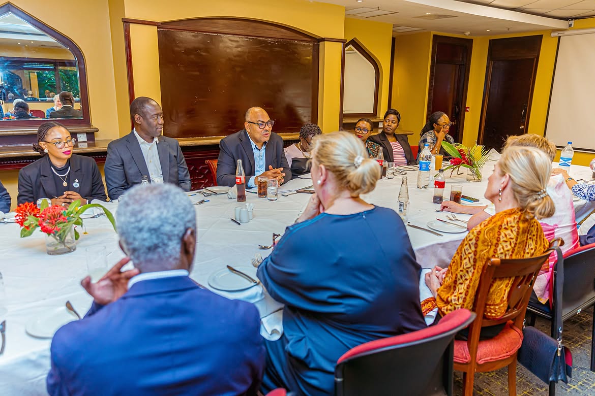 Tanzania moves to expand investment ties with Sweden in energy, technology, and mining sectors