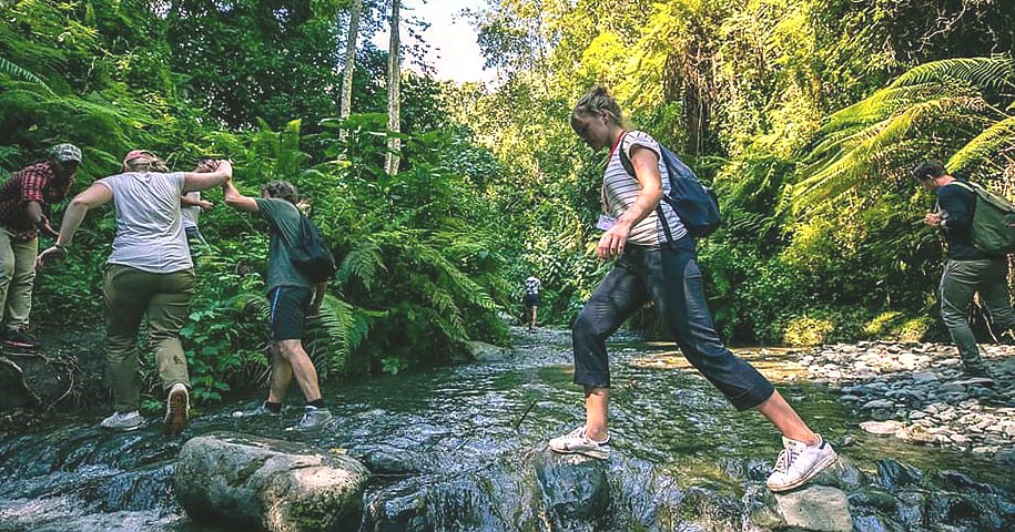 GEF funding advances Tanzania’s forest tourism