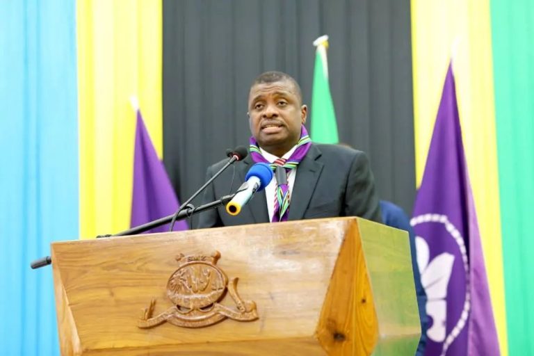 Zanzibar VP: NMB Urged to Boost Digital Innovation