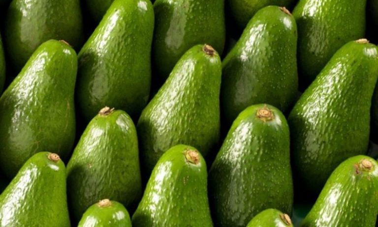 Tanzania avocado exports surpass 2030 target - Daily News